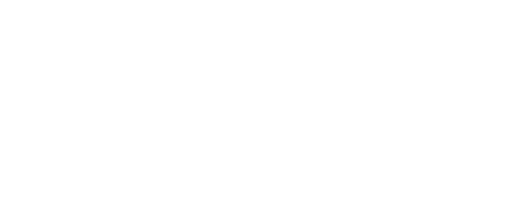 Ppf Horizontal Logo White 300ppi Menu Bar Size Vector 02 02 01