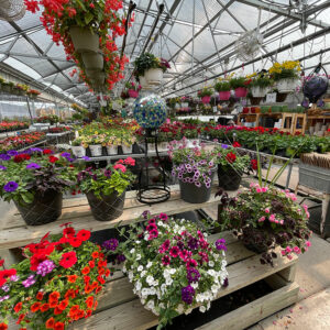 Garden Center 6