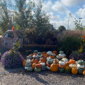 Garden Center 8